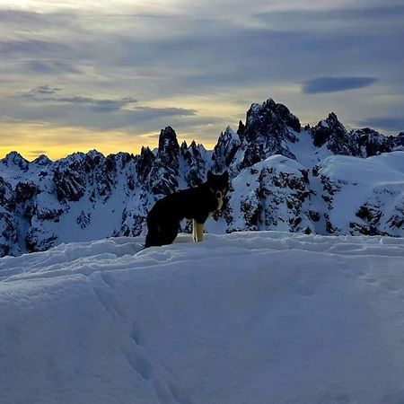 Appartamento Daniela Dolomiti. Auronzo di Cadore Εξωτερικό φωτογραφία