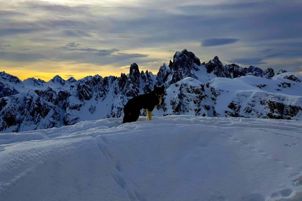 Appartamento Daniela Dolomiti. Auronzo di Cadore Εξωτερικό φωτογραφία